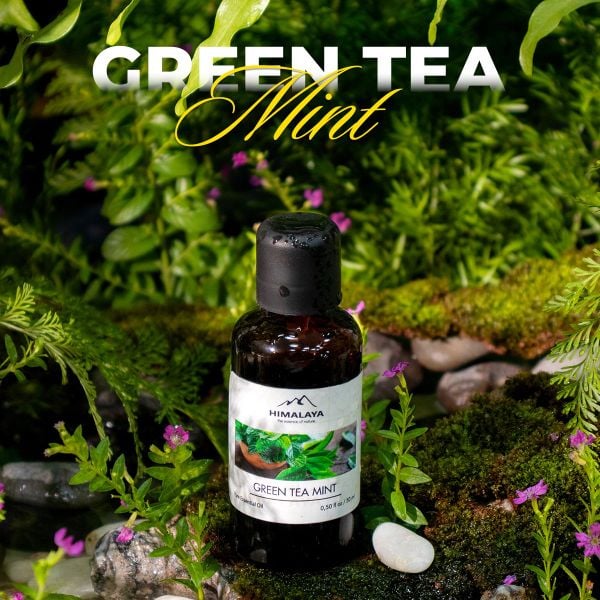 hương tháng 6 Himalaya