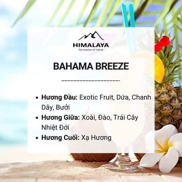 Tinh dầu bahama Brezzee