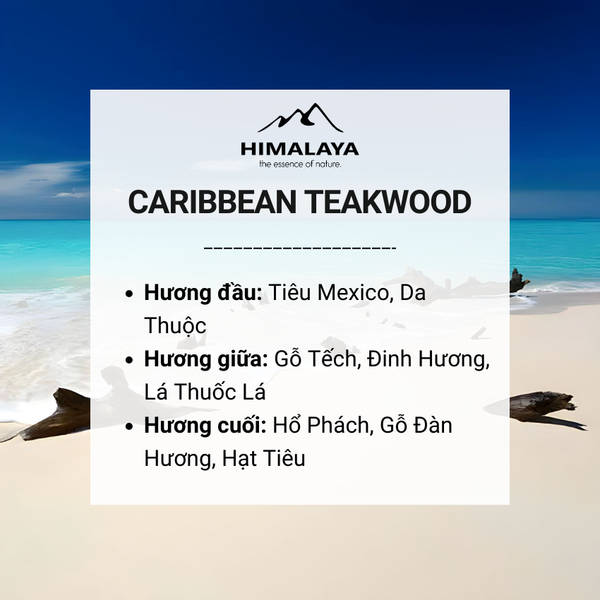 Tinh dầu caribbean Teakwood