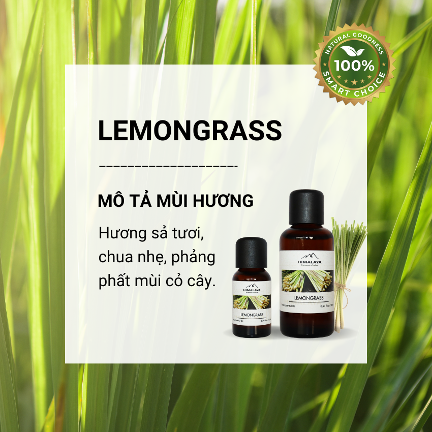 Tinh dầu Lemongrass