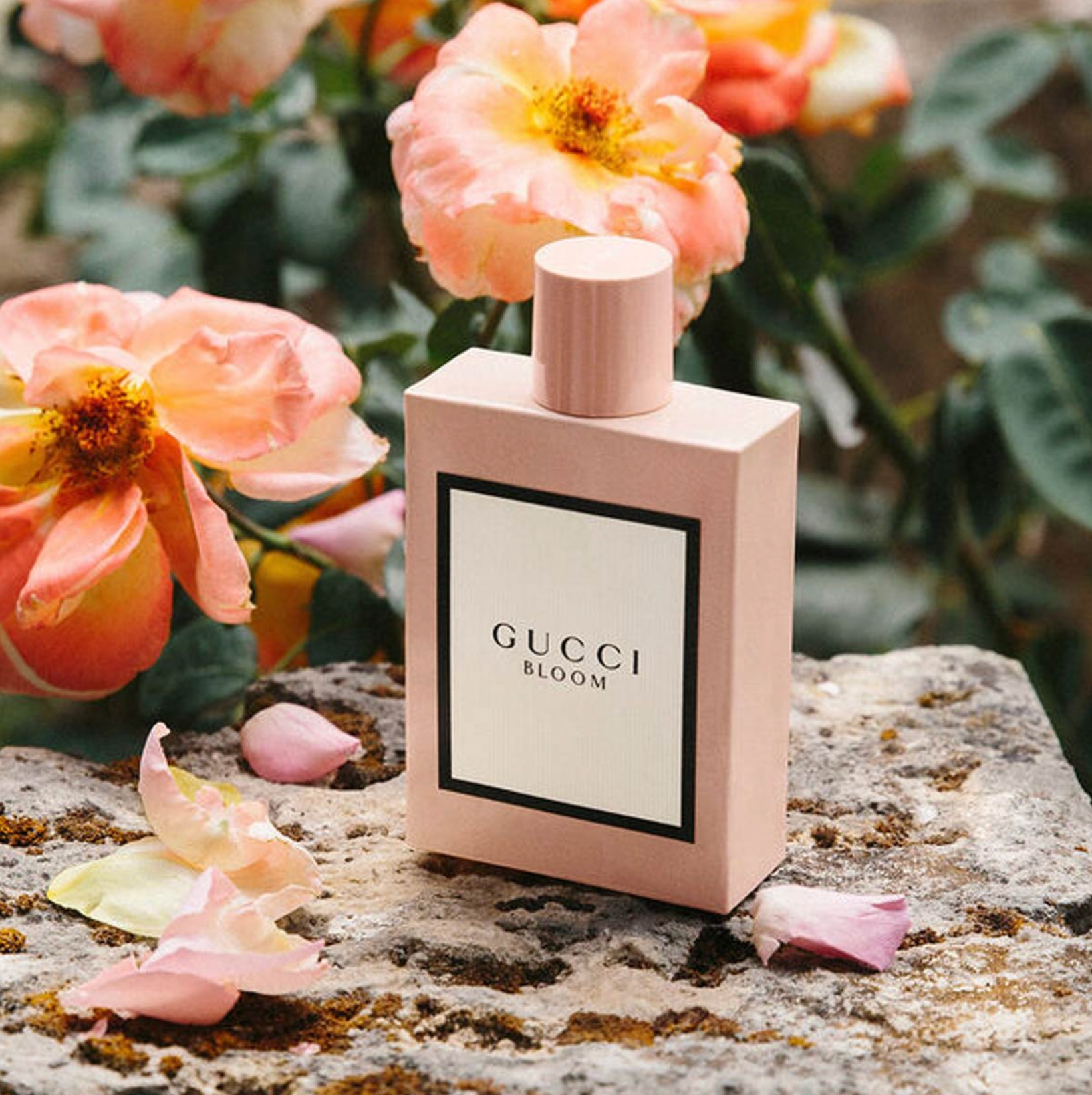 diem-qua-5-mui-huong-gucci-bloom-dinh-cao-danh-cho-cac-quy-co