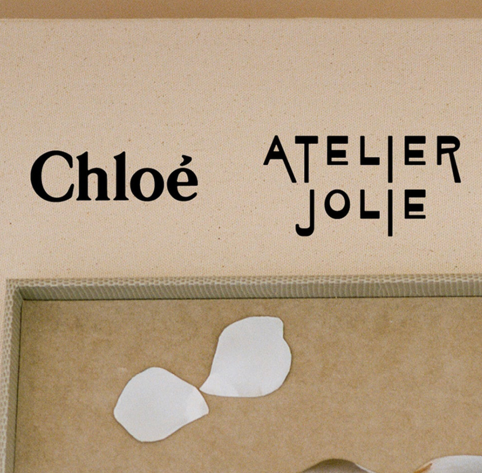 atelier-jolie-mo-hinh-kinh-doanh-thoi-trang-vi-cong-dong-cua-angelina-jolie
