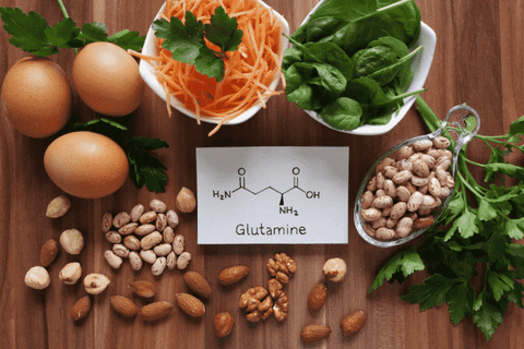 Glutamine là gì ? Công dụng, cách sử dụng Glutamine