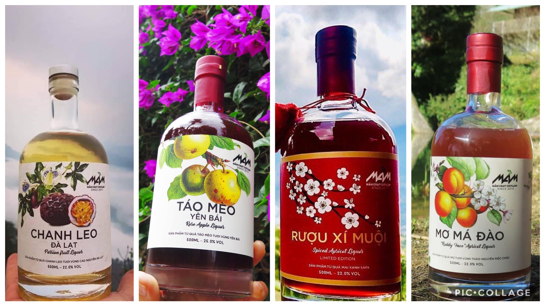 Sản phẩm nổi bật – Rượu trái cây Mầm Distillery - Đồ nhà giá tốt