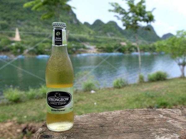 rượu strongbow elderflower hoa elder