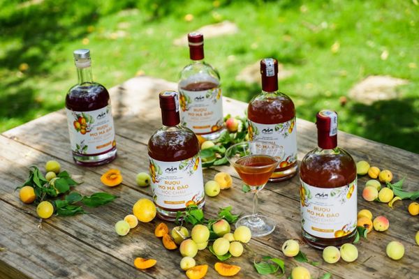 rượu trái cây mầm distillery là gì