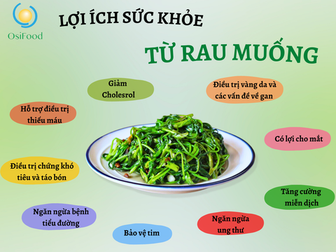 CÁC LỢI ÍCH SỨC KHỎE TỪ RAU MUỐNG