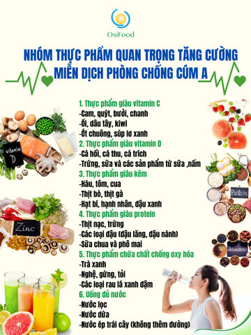 NHÓM THỰC PHẨM BỔ SUNG DƯỠNG CHẤT PHÒNG CHỐNG BỆNH CÚM A HIỆN NAY