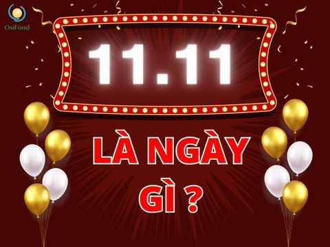Ngày 11/11 là ngày gì ? Nguồn Gốc & Ý Nghĩa Ngày Độc Thân - 11 Tháng 11