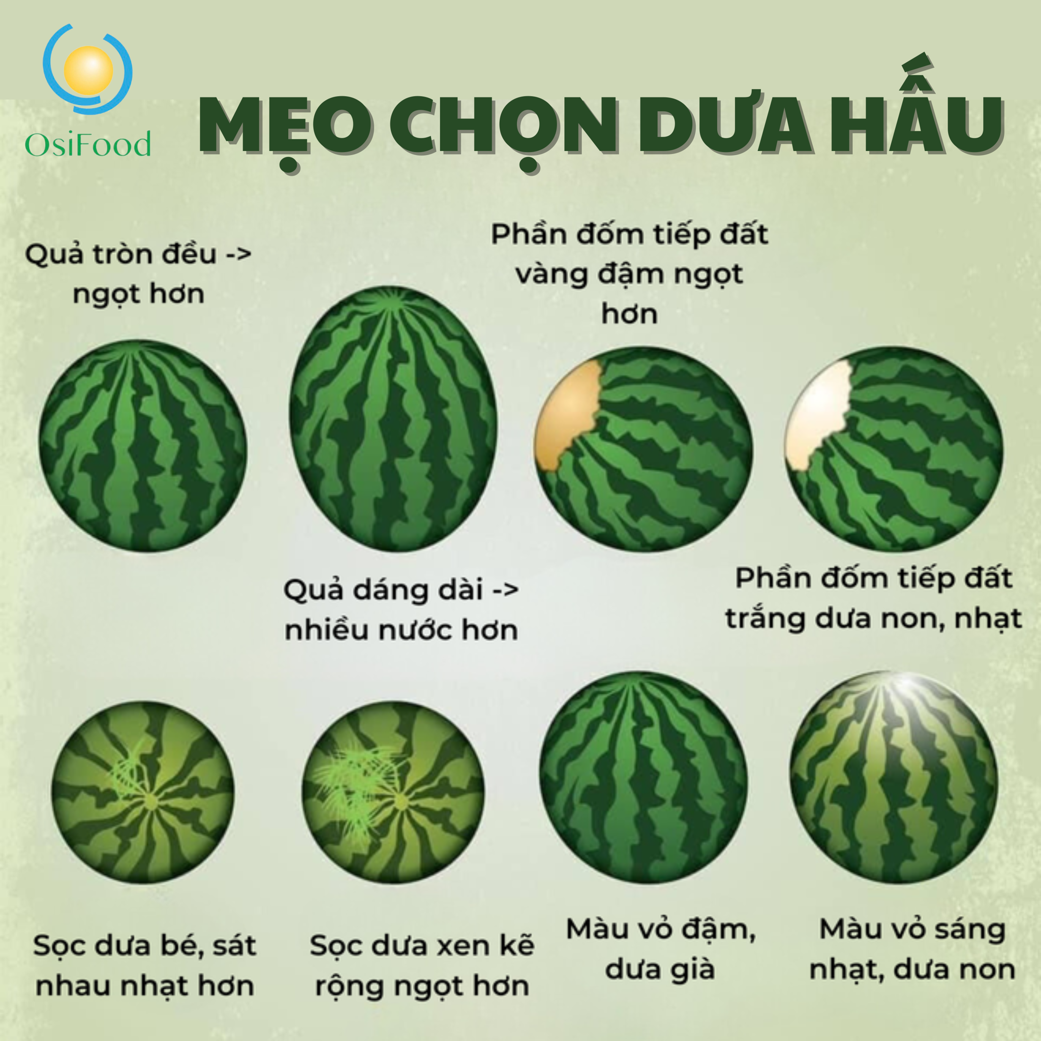 CHỌN DƯA HẤU GIẢI NHIỆT MÙA NẮNG NÓNG NHỚ CHÚ Ý NHỮNG ĐIỂM NÀY.