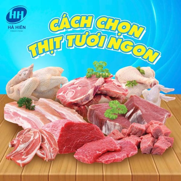 Cách chọn mua thịt tươi ngon: Bí quyết từ chuyên gia cho bữa ăn chất lượng