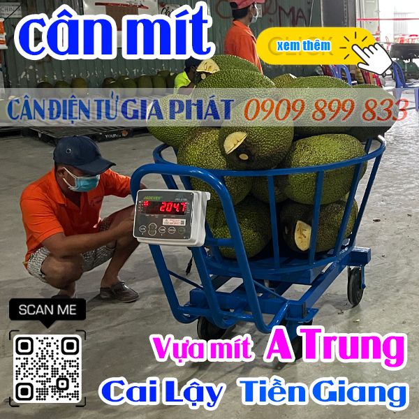 Cân điện tử cân mít 300kg 500kg 1 tấn ở Vựa Trái Cây A Trung ở Cai Lậy Tiền Giang