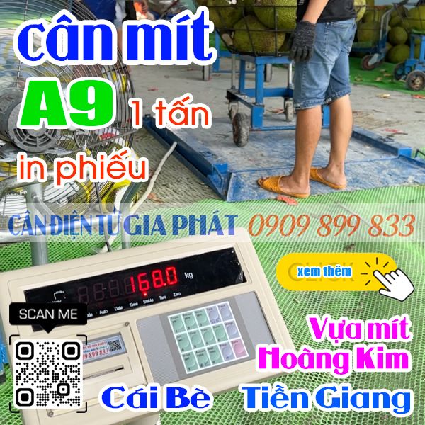 Vựa mít Hoàng Kim đang sử dụng cân mít điện tử XK3190-A9  500kg 1 tấn in bill ở Cái Bè Tiền Giang