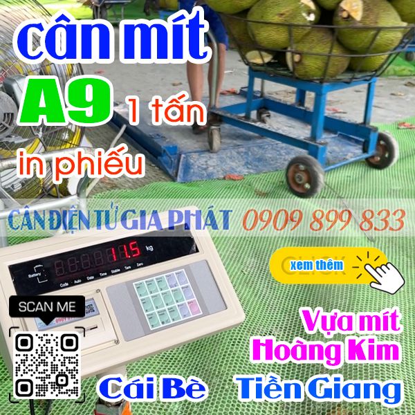 Vựa mít Hoàng Kim đang sử dụng cân mít điện tử XK3190-A9  500kg 1 tấn in bill ở Cái Bè Tiền Giang