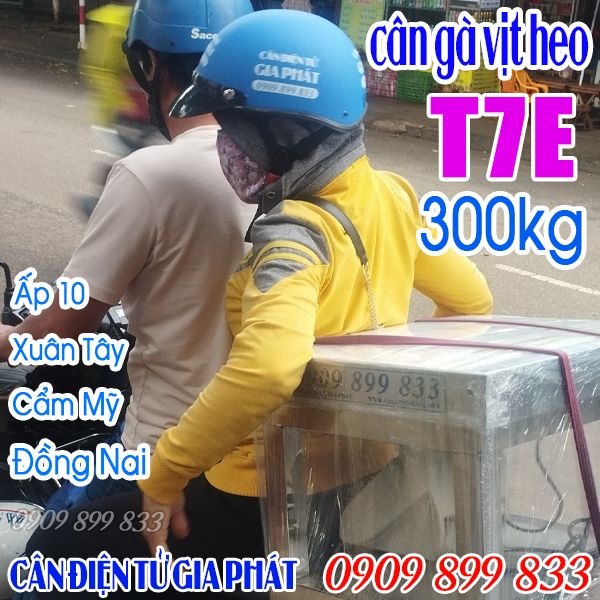 Cân điện tử Xuân Tây Cẩm Mỹ Đồng Nai - cân gà vịt heo chốt số 300kg XK3190-T7E