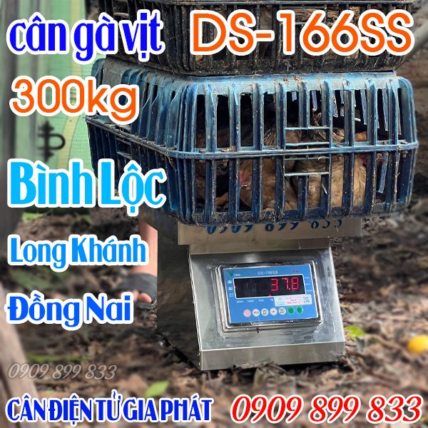 Cân điện tử cân gà vịt DS-166SS 200kg ở Bình Lộc Long Khánh Đồng Nai