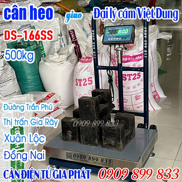 Cân điện tử cân heo 500kg DS-166SS ở Xuân Lộc Đồng Nai