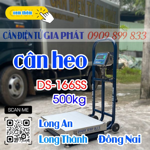 Cân điện tử cân heo 200kg 300kg 500kg DS-166SS ở Long Thành Đồng Nai