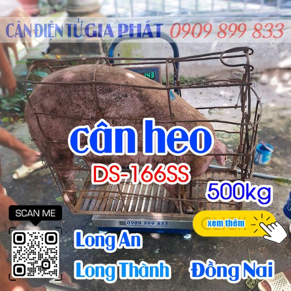 Cân điện tử cân heo 200kg 300kg 500kg DS-166SS ở Long An Long Thành Đồng Nai