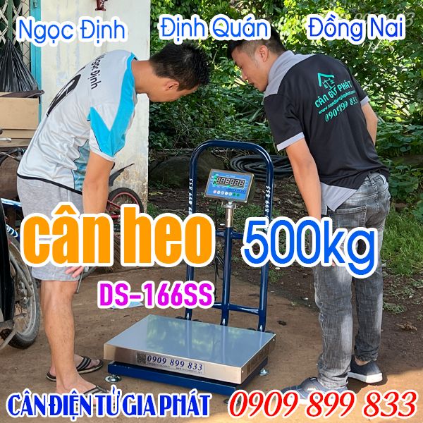 Cân heo điện tử 500kg ở Ngọc Định Định Quán Đồng Nai - cân điện tử DS-166SS 500kg