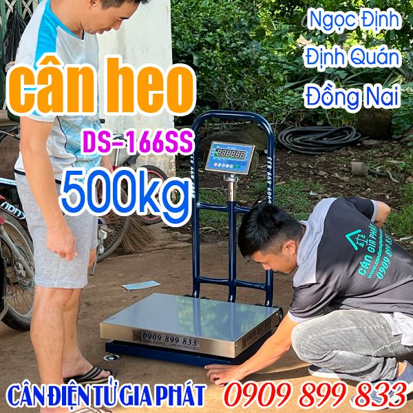 Cân điện tử ở Ngọc Định Định Quán Đồng Nai - cân heo 500kg DS-166SS
