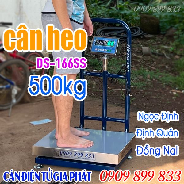 Cân heo điện tử 500kg ở Định Quán Đồng Nai - cân heo 500kg DS-166SS chốt số chống nước