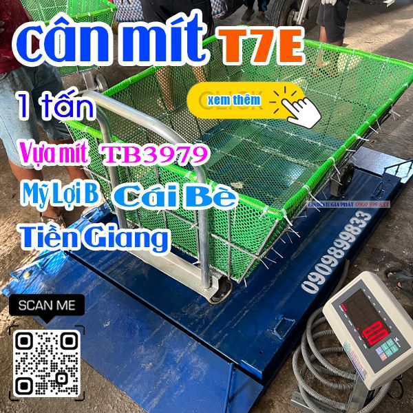 Cân điện tử cân mít T7E 500kg 1 tấn - Vựa mít TB3979 ở Cái Bè Tiền Giang