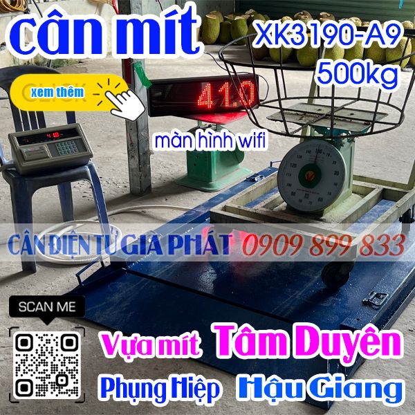 Cân điện tử cân mít 500kg 1 tấn có dốc 2 bên ở Hậu Giang - Vựa Mít Tâm Duyên