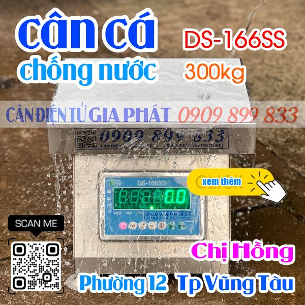 Cân điện tử DS-166SS 100kg 200kg 300kg ở Vũng Tàu - inox chống nước - cân cá & hải sản