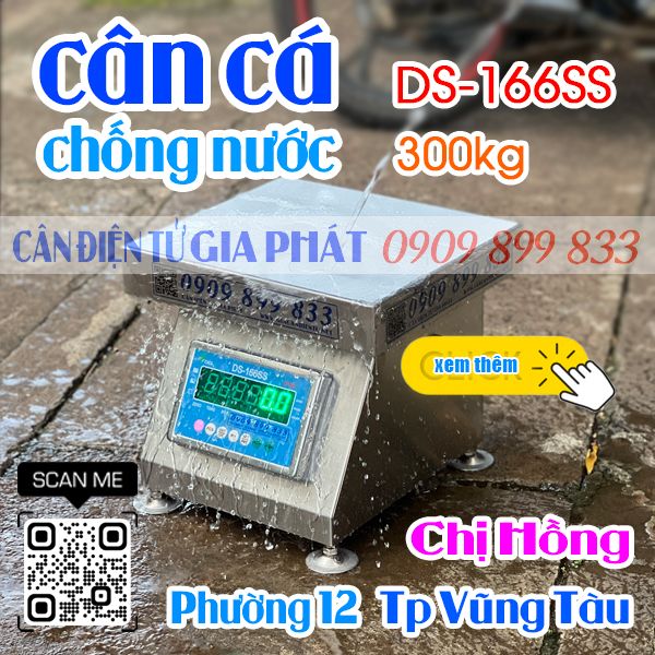 Cân điện tử DS-166SS 100kg 200kg 300kg ở Vũng Tàu - inox chống nước - cân cá & hải sản