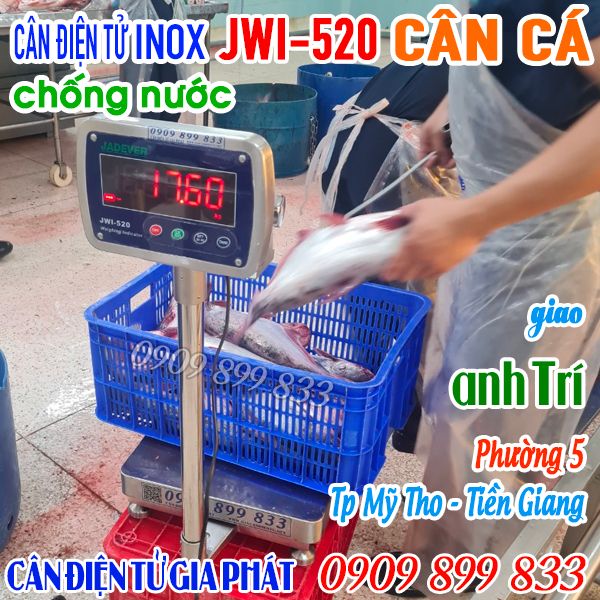 Cân điện tử Mỹ Tho Tiền Giang - cân điện tử JWI-520 150kg inox chống nước cân cá