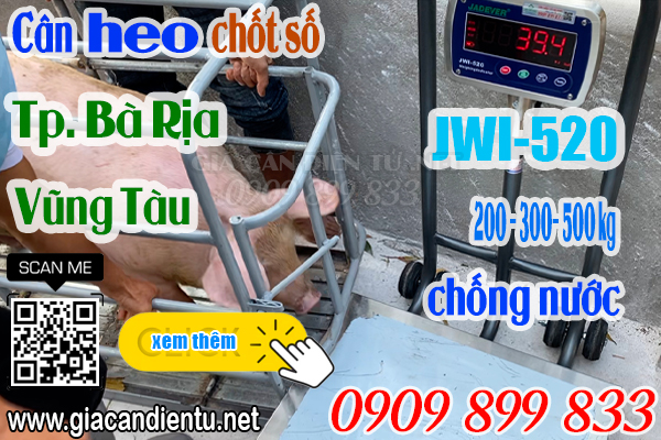 Cân điện tử ở Bà Rịa Vũng Tàu - cân điện tử cân heo 200kg 300kg 500kg