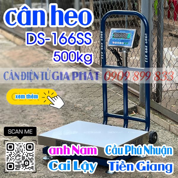 Cân điện tử ở Cai Lậy Tiền Giang - cân heo DS-166SS 200kg 300kg 500kg