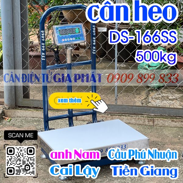 Cân điện tử ở Cai Lậy Tiền Giang - cân heo DS-166SS 200kg 300kg 500kg
