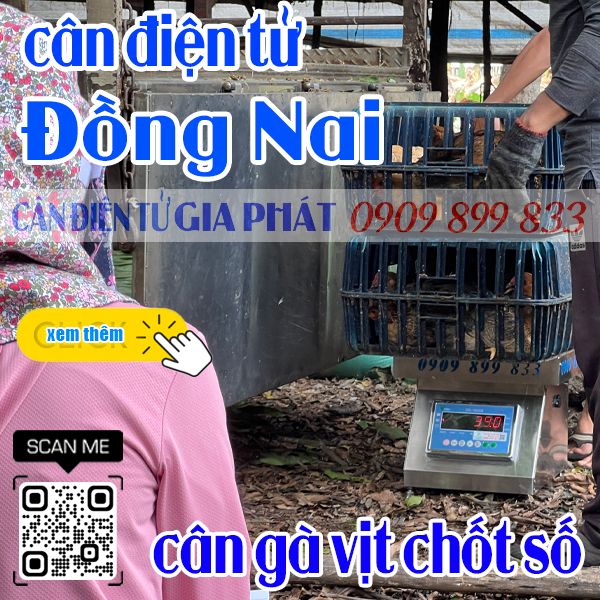 Cân điện tử ở Đồng Nai - cân gà vịt DS-166SS 100kg 200kg 300kg 500kg