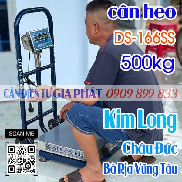 Cân điện tử ở Kim Long Châu Đức Bà Rịa Vũng Tàu - cân điện tử cân heo DS-166SS 500kg