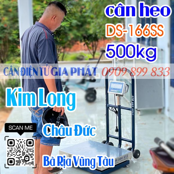 Cân điện tử ở Kim Long Châu Đức Bà Rịa Vũng Tàu - cân điện tử cân heo DS-166SS 500kg