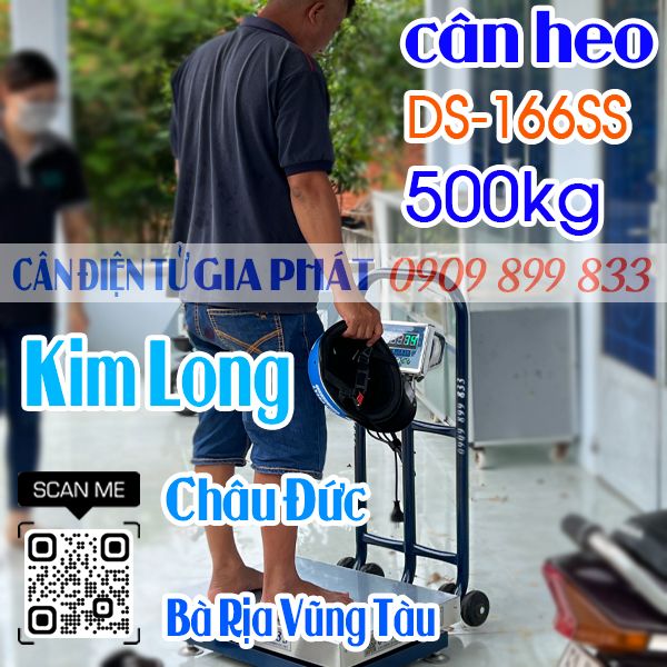 Cân điện tử ở Kim Long Châu Đức Bà Rịa Vũng Tàu - cân điện tử cân heo DS-166SS 500kg