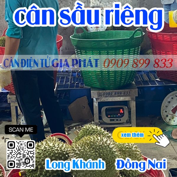 Cân điện tử ở Long Khánh Đồng Nai - cân điện tử cân sầu riêng - Vựa trái cây Hoàng Mai