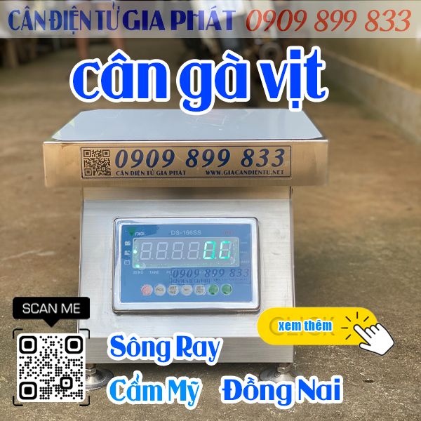 Cân điện tử ở Sông Ray Cẩm Mỹ Đồng Nai - cân gà vịt heo DS-166SS 100kg 200kg 300kg inox tốt nhất