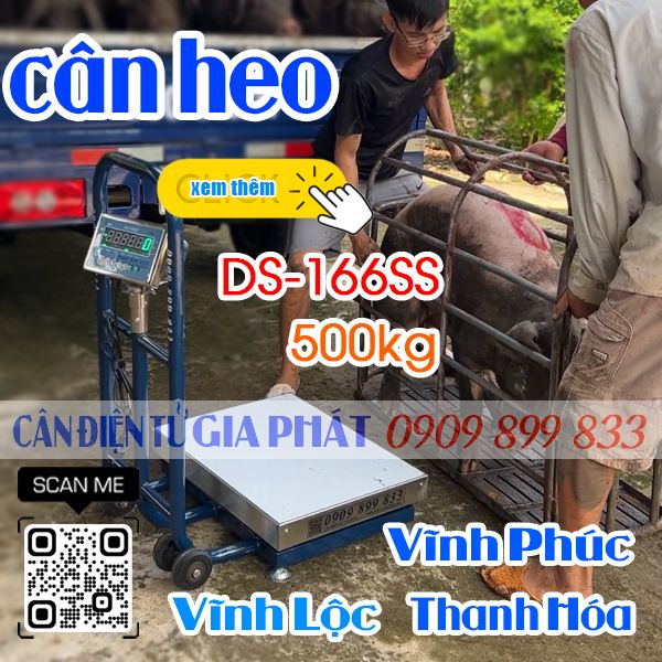 Cân điện tử ở Thanh Hóa - cân điện tử cân heo cân lợn DS-166SS 200kg 300kg 500kg chốt số