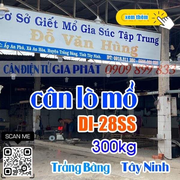 Cân điện tử ở Trảng Bàng Tây Ninh - cân lò mổ gà vịt heo DI-28SS 300kg kết nối màn hình wifi