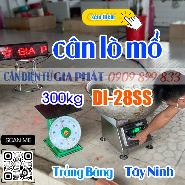 Cân điện tử ở Trảng Bàng Tây Ninh - cân lò mổ gà vịt heo DI-28SS 300kg kết nối màn hình wifi