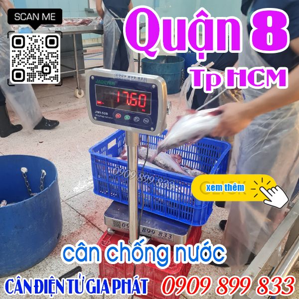 Cân điện tử Quận 8 TpHCM, cân điện tử inox chống nước 60kg 100kg 150kg chợ Bình Điền