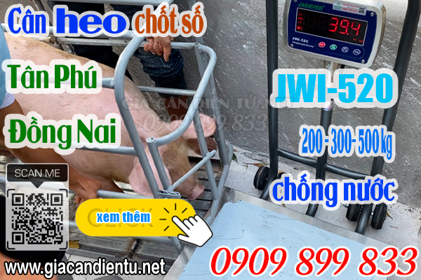 Cân điện tử ở Phú Điền Phú Lâm Tân Phú Đồng Nai - cân điện tử cân heo cân lợn