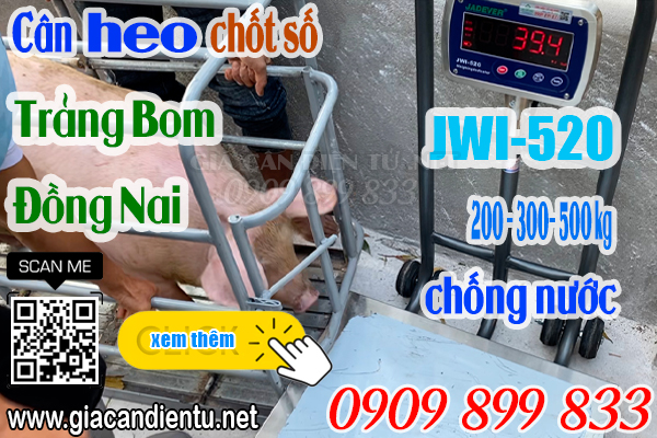 Cân điện tử ở Hưng Thịnh Quảng Tiến Trảng Bom Đồng Nai - cân điện tử cân heo 200kg 300kg 500kg