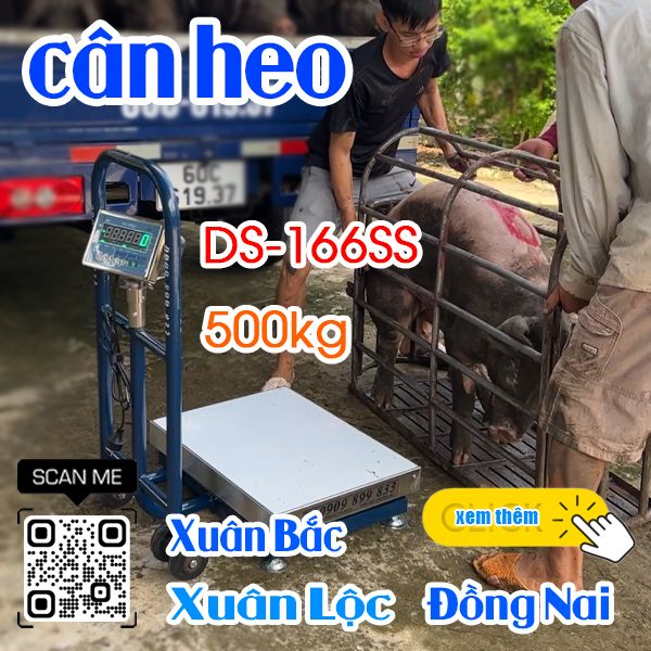 Cân điện tử ở Xuân Bắc Xuân Lộc Đồng Nai - cân điện tử cân heo DS-166SS 200kg 300kg 500kg