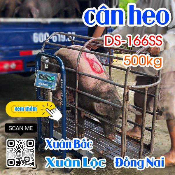 Cân điện tử ở Xuân Bắc Xuân Lộc Đồng Nai - cân điện tử cân heo DS-166SS 200kg 300kg 500kg