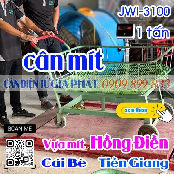 Vựa mít Hồng Điền ở Cái Bè Tiền Giang mua cân mít điện tử JWI-3100 500kg 1 tấn 2 tấn màu đỏ