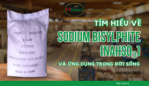 Tìm Hiểu Về Sodium Bisylphite (NaHSO₃) Và Ứng Dụng Trong Đời Sống